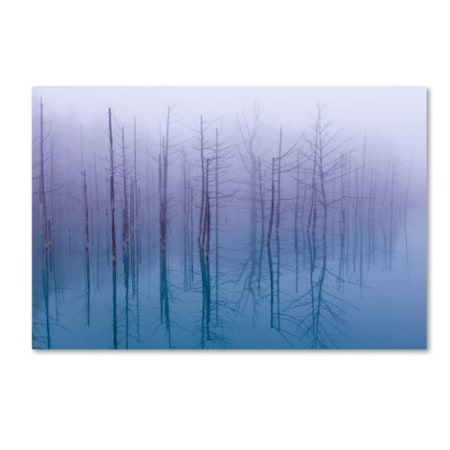 Osamu Asami 'Misty Blue Pond' Canvas Art,30x47